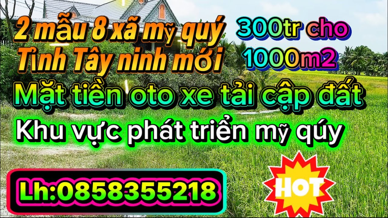 2 mẫu 8 xã mỹ quý tỉnh LongAn củ 300tr cho 1000m2 đất đep phù hợp đầu tư làm vườn fam.  Lh0858355218