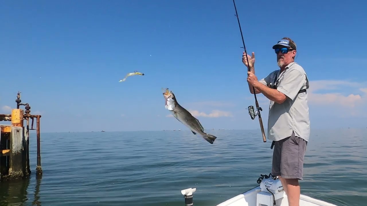 RAN FROM DULARGE TO COCODRIE, SPECKLED TROUT WERE ON FIRE
