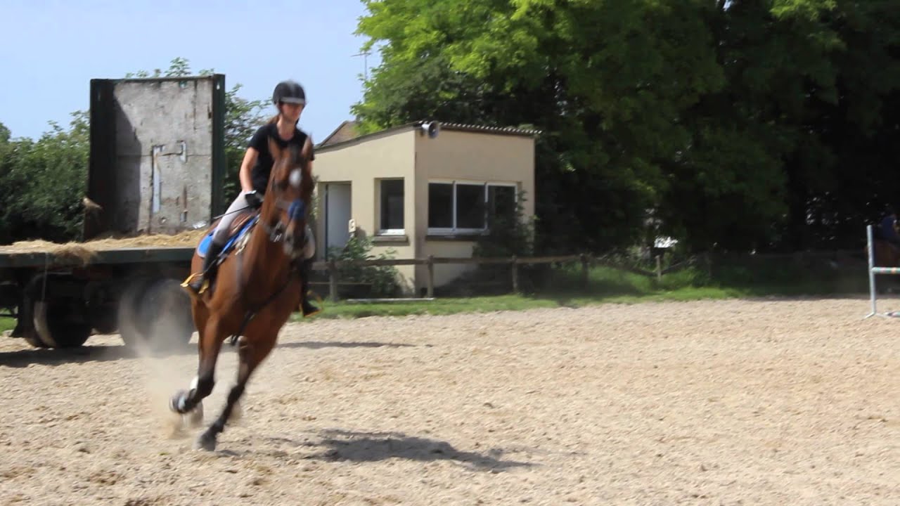 Passage galop 7 en cso avec ODIN