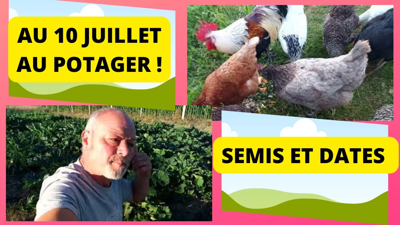 Que faire au 10 juillet au jardin
