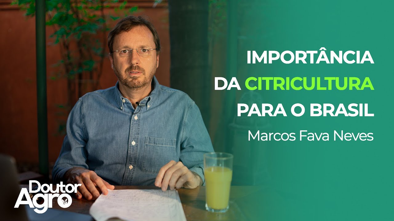Importância da citricultura para o Brasil | Doutor Agro | Marcos Fava Neves