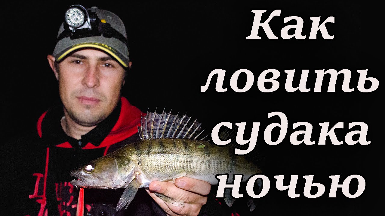 Как ловить судака ночью