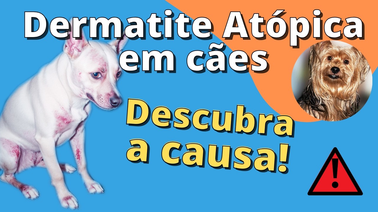 Dermatite atópica em cães: o que todo tutor precisa saber!