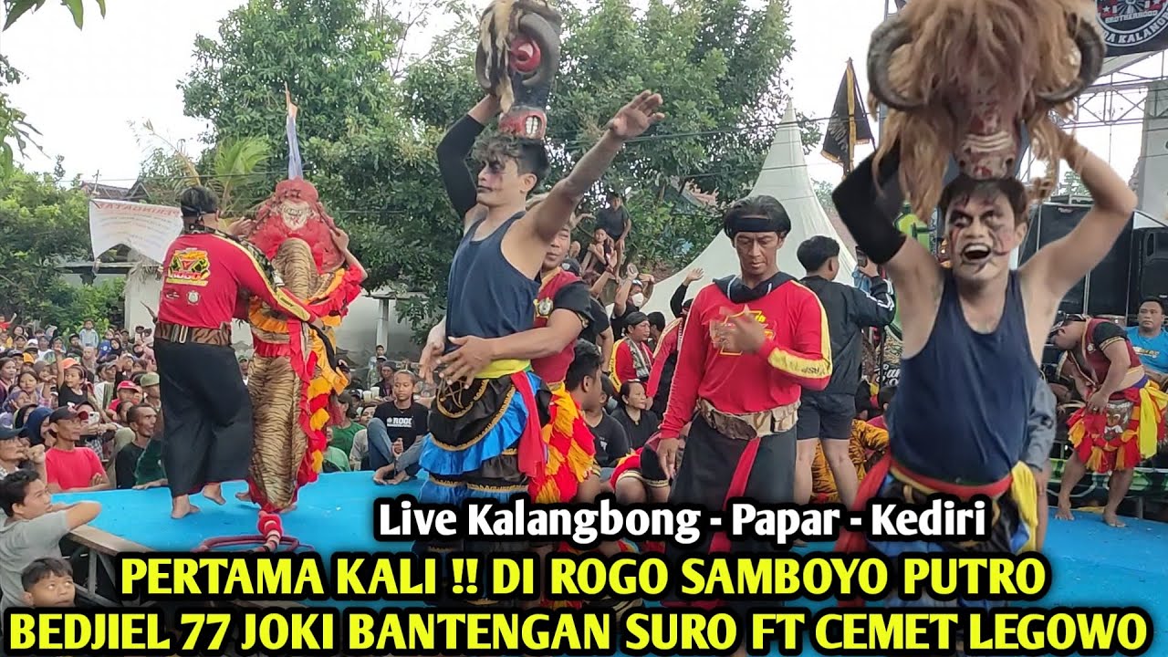 BEDJIEL 77 Joki Bantengan Suro Galak❗Jaranan ROGO SAMBOYO PUTRO Live Kalangbong Papar Kediri