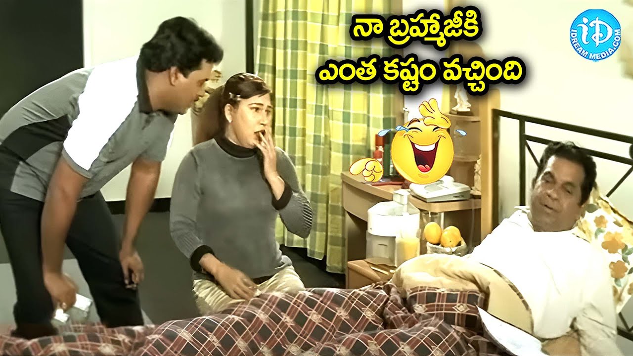 నా బ్రహ్మాజీకి ఎంత కష్టం వచ్చింది | Brahmanandam Sunil Comedy Scenes | 