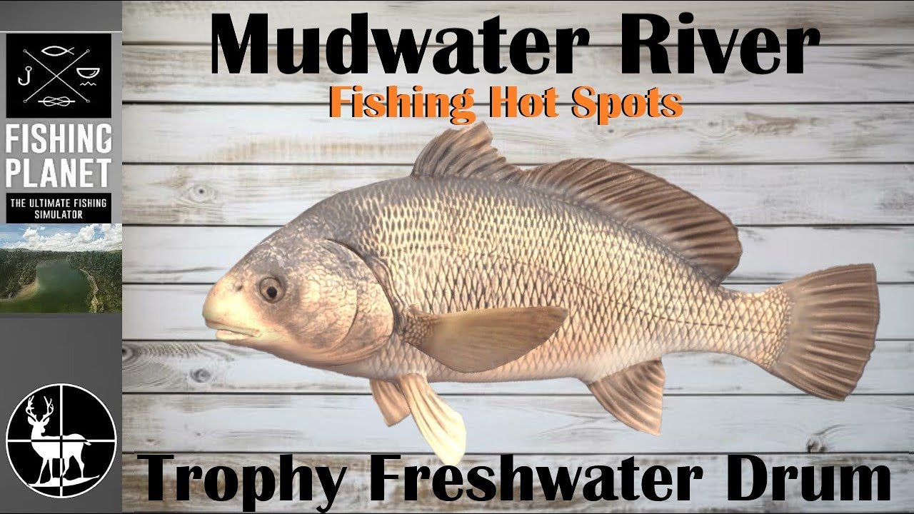 How To Catch Trophy Freshwater Drum | Mudwater River | Fishing Planet Hot Spots