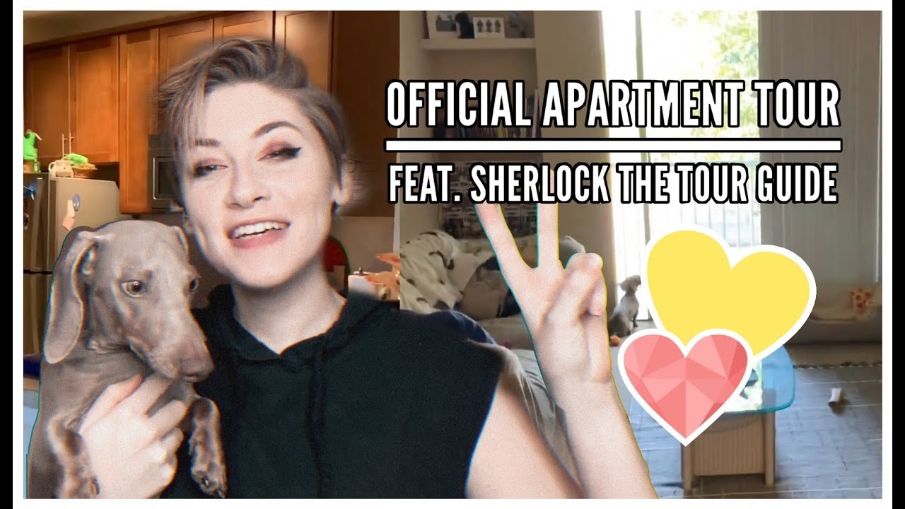 Official Apartment Tour || I Talk Too Much — Feat. Sherlock the Dog, as your Tour Guide