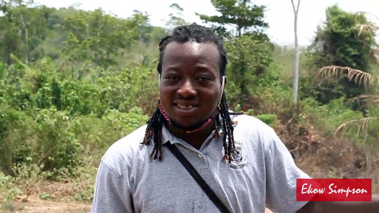 How I Own 10 Plots Of Land With African Music & Dance | Land For Sale