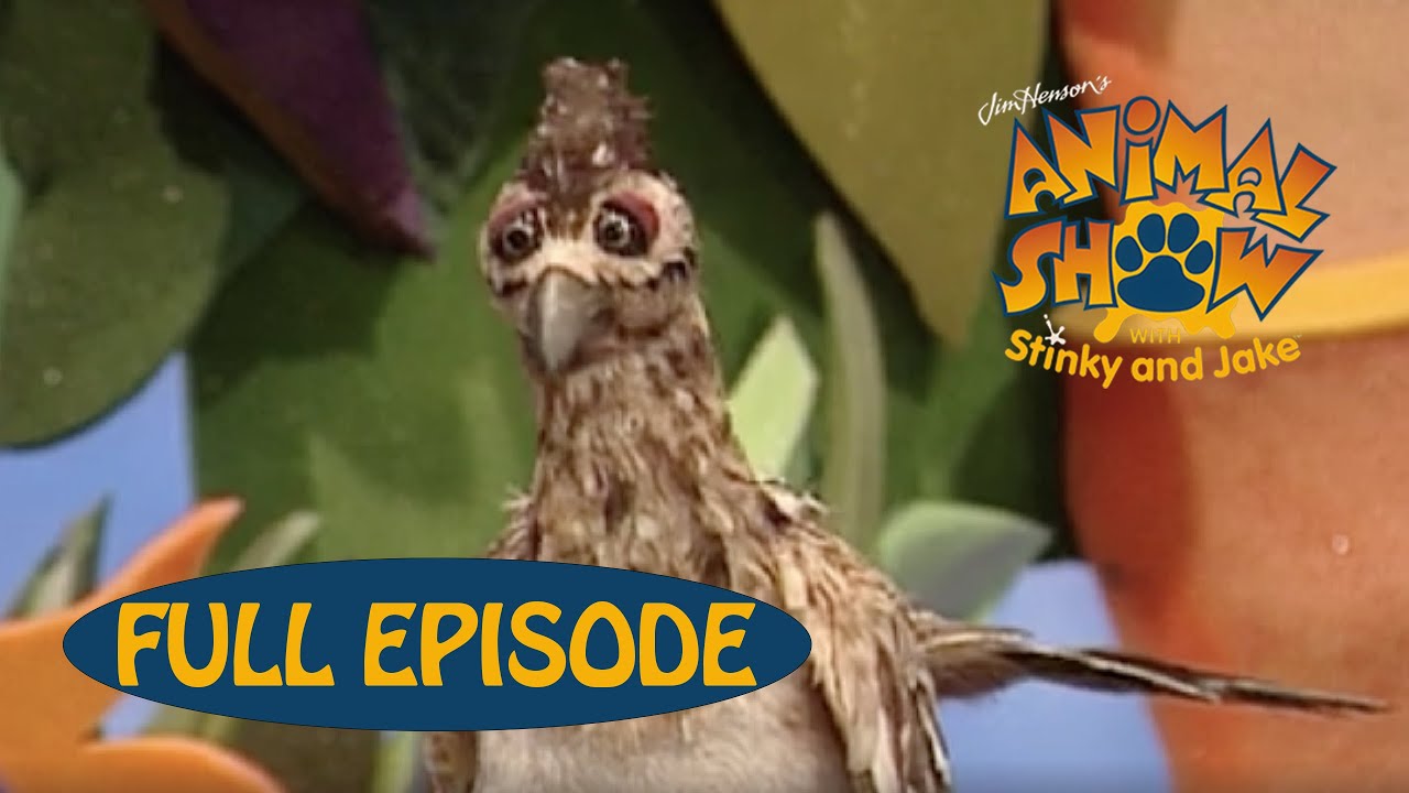 Animal Show | Marine Iguana 🦎 / Roadrunner | Jim Henson Family Hub