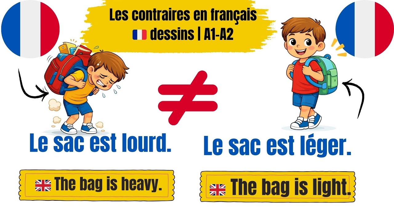 Connais-tu les mots opposés en français ? | Phrases simples A1–A2 🎯