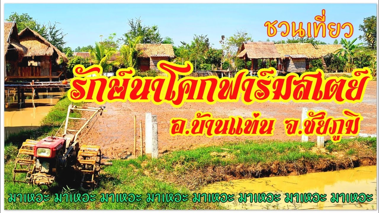 ชวนมาเป็นหนุ่มนาข้าวกับสาวบ้านนาที่รักษ์นาโคก ฟาร์มสเตย์ จ.ชัยภูมิ มาเหอะแล้วจะประทับใจ