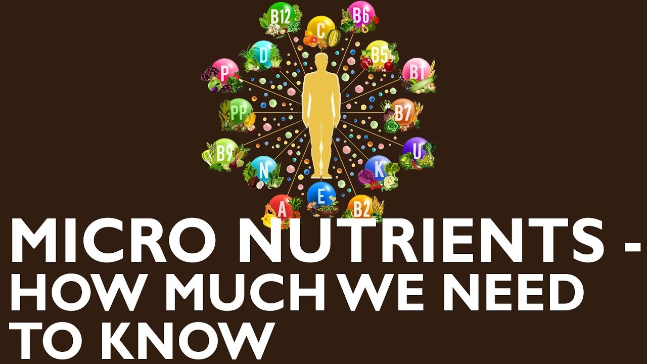 Vitamins and Minerals, we may be missing in our body