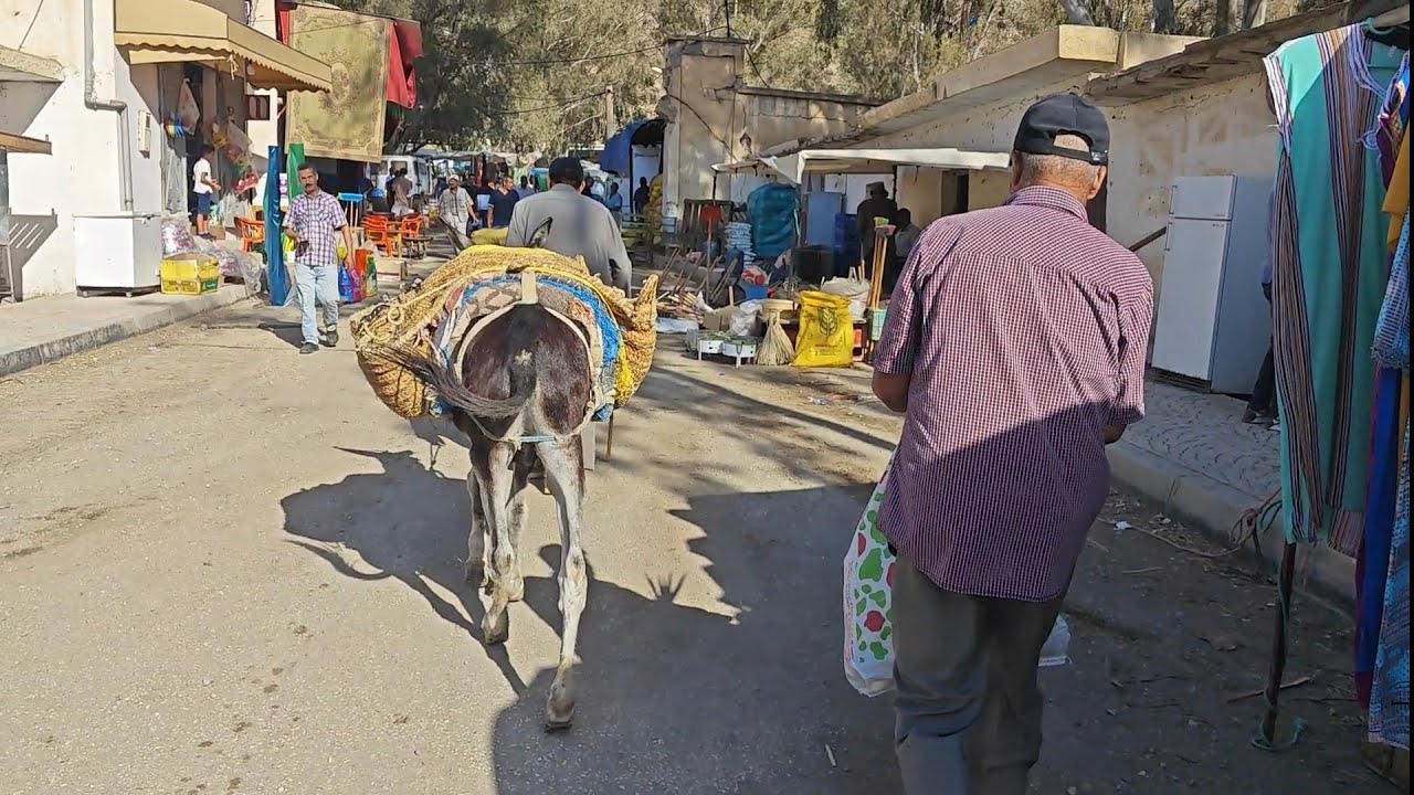 جولة ممتعة من سوق الأسبوعي الأربعاء تاوريرت إقليم الحسيمة 