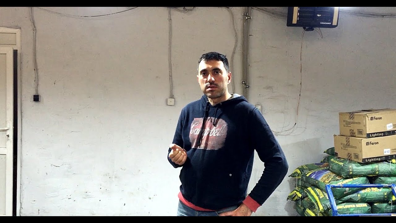 Какие саженцы грецкого ореха мы рекомендуем.