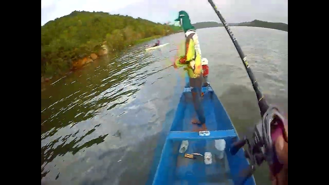 CARRETILHA SCORPION BFS EM A&Ccedil;&Atilde;O