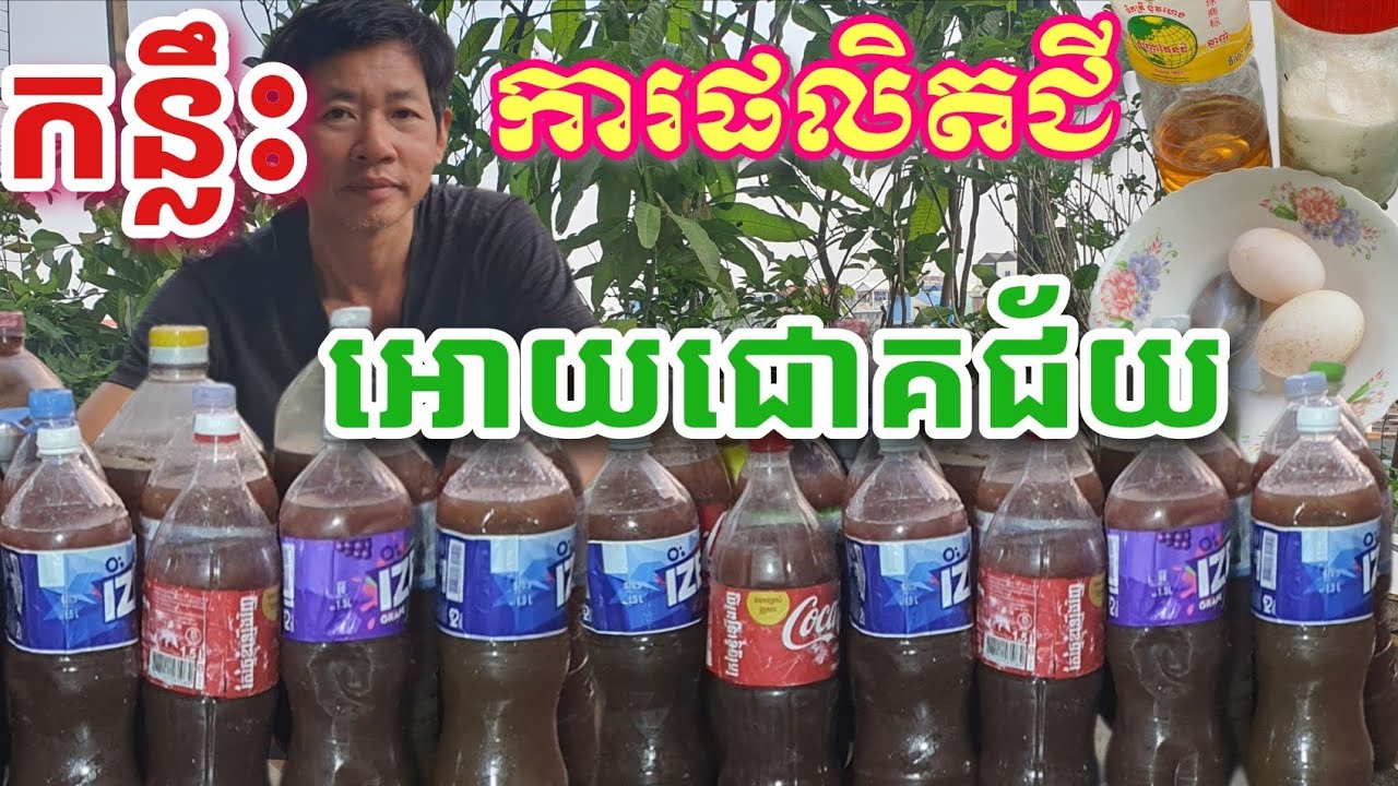 របៀបធ្វើមេជីទឹក ជូលិនសុី ( សង្គ្រោះពន្លឺ )/how to make organic fertilizers