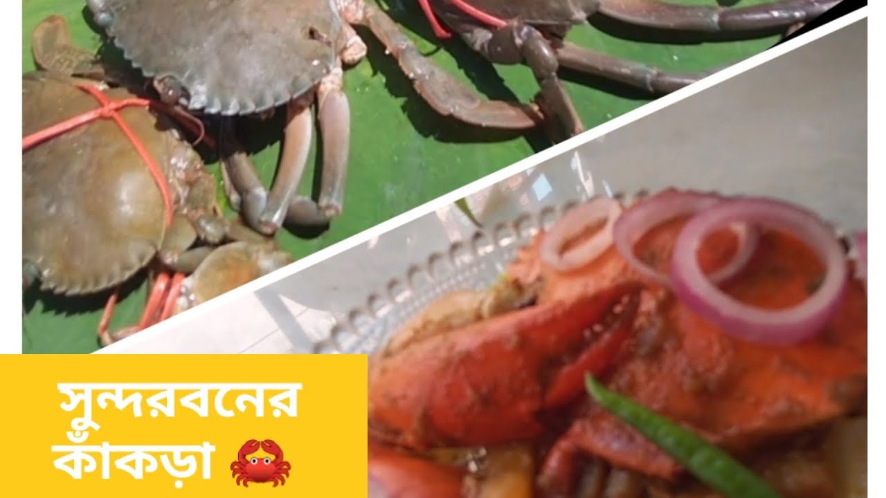  সুন্দরবনের কাঁকড়া দিয়ে ঝাল ঝাল রেসিপি ঝট পট বানিয়ে ফেলুন কাঁকড়া সুন্দরী 🦀🦀🥗🥗