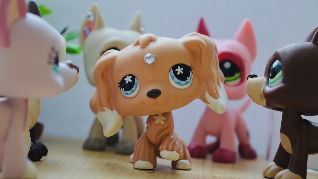 Littlest Pet Shop: Moje sbírka LPS Dog!