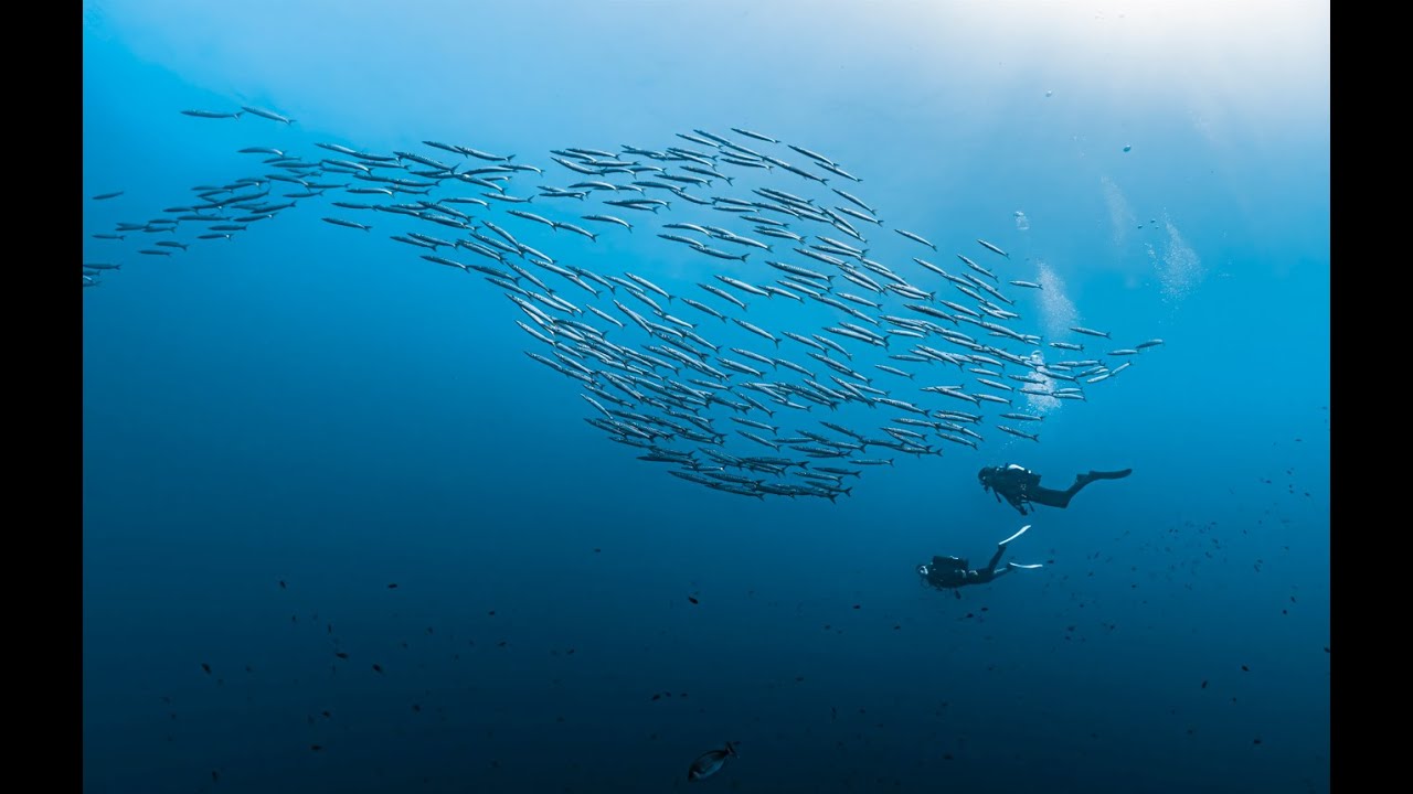 Beyond The Expected | Explore Experience Embrace | Aqualung Scuba Diving