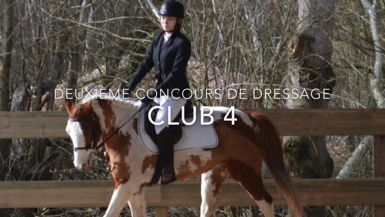 Concours de dressage Club 4 avec apache !