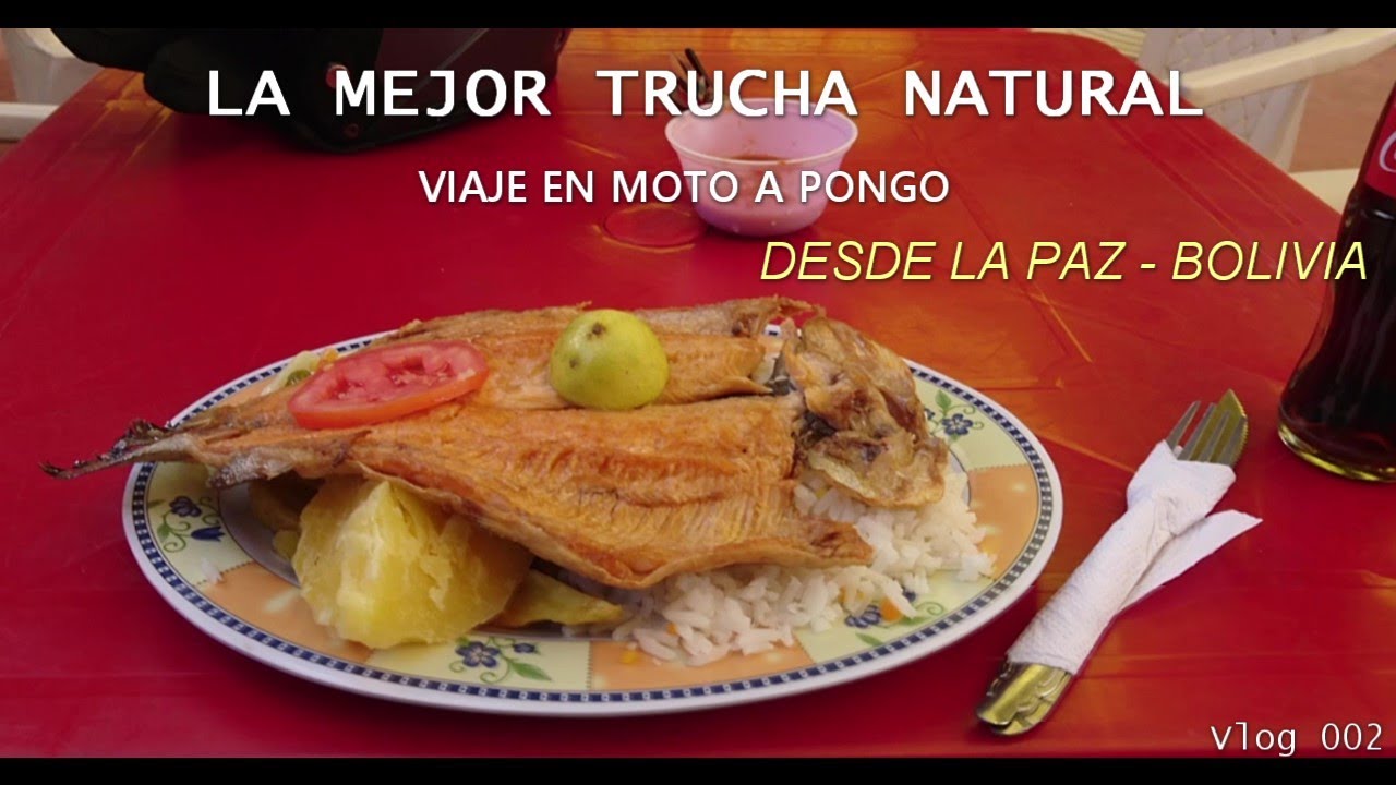 VIAJE A PONGO (La Paz - Bolivia)  POR TRUCHA EN MOTO...