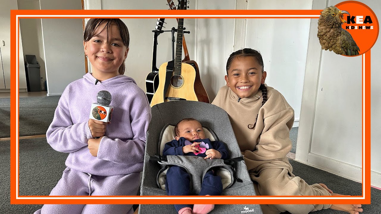 Kea Kids News: Kawakawa kid’s sisterly love goes TikTok viral | nzherald.co.nz