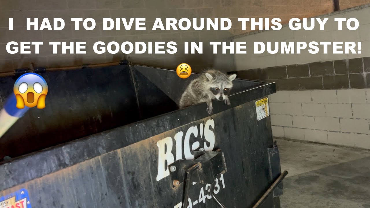 DUMPSTER DIVIN// SLIM PICK-INS THIS NIGHT SO I HAD TO BRAVE THE DUMPSTER W/ A RACOON IN IT😱