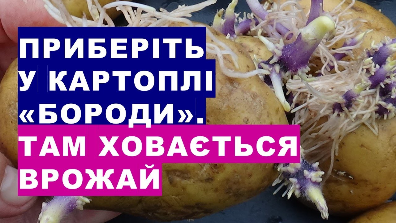 Чому треба прибирати 