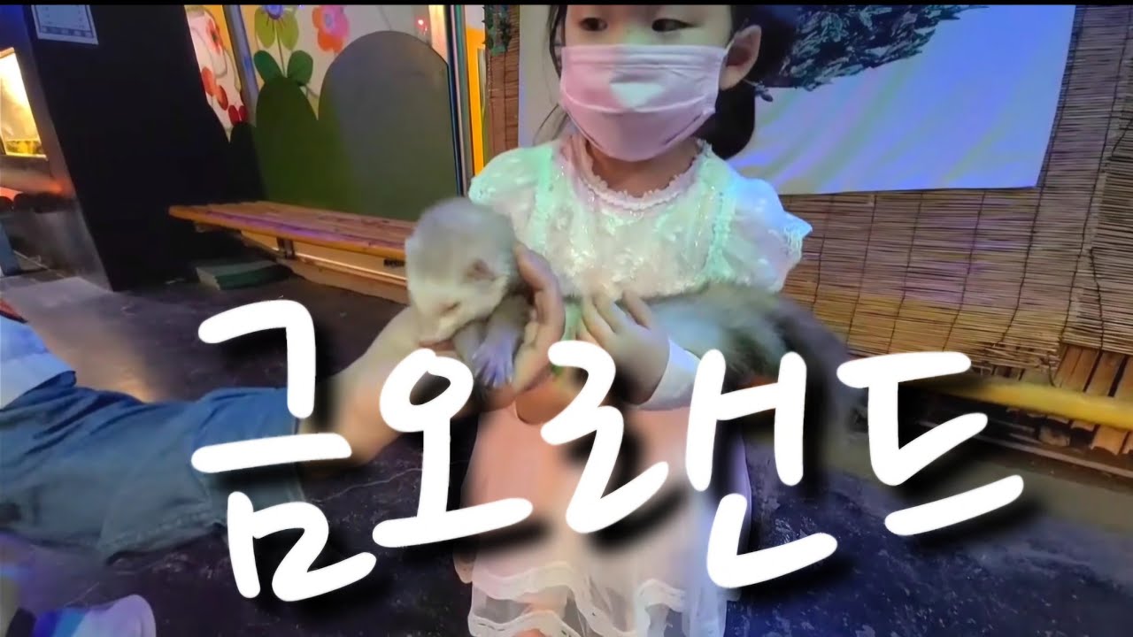 쩌쩌네 이제는 추억속 금오랜드