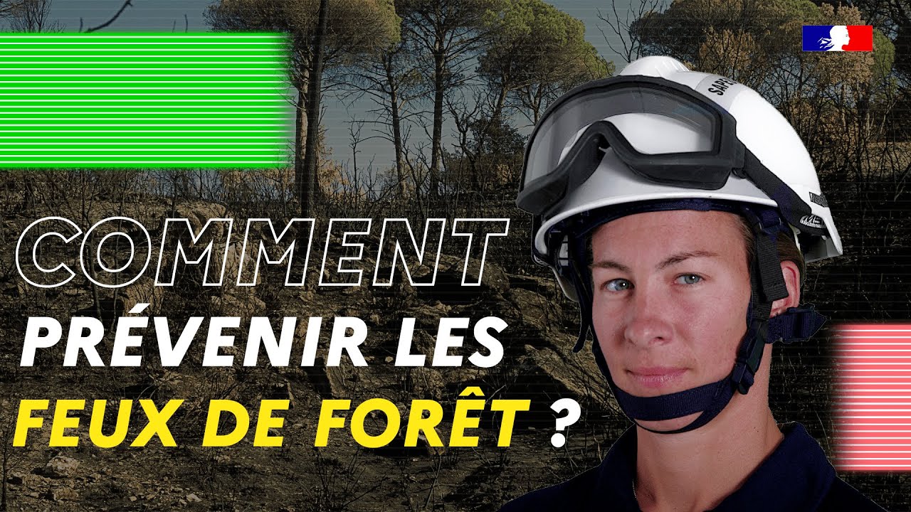 Feux de forêt : Comment réagir si un feu se déclare ? | Tutoriel 2025