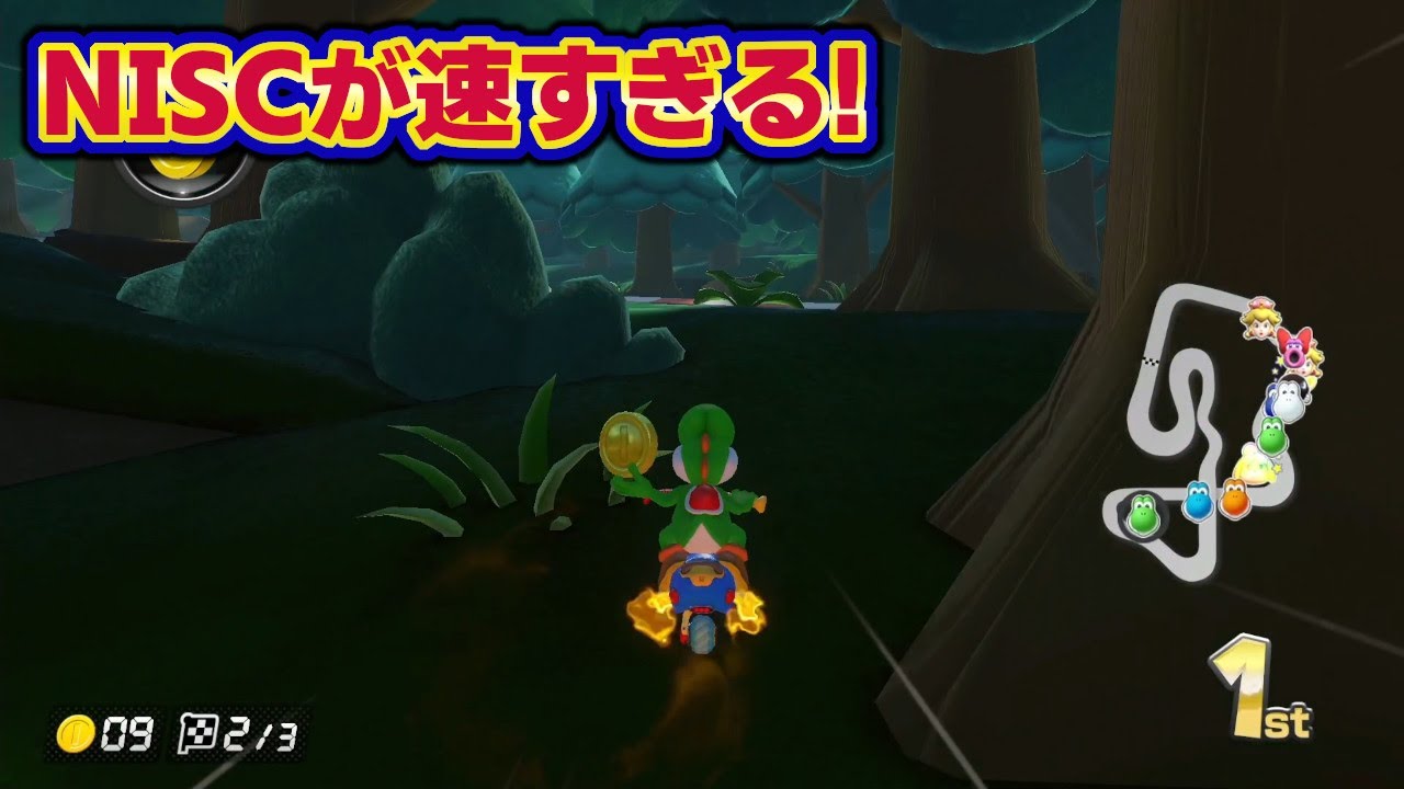 DSマリオサーキットのNISCが速すぎる！【ハイテンションぼやきマリカ8デラックス】