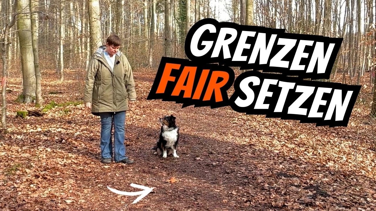 Klare Grenzen aufbauen – Teil 1
