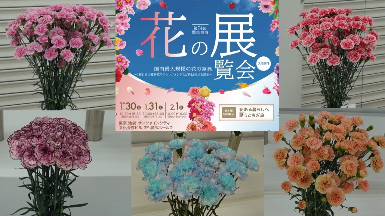 《花の品評会　カーネーション》関東東海地域の1都11県と花き関係5団体が主催する日本で最大規模の花の展覧会　『第74回関東東海花の展覧会』【Flower Vlog314】