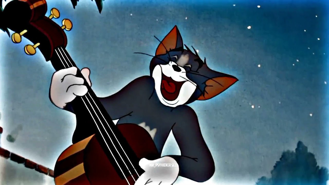 Dingiri Dingale Tom and Jerry Version 💖🤩