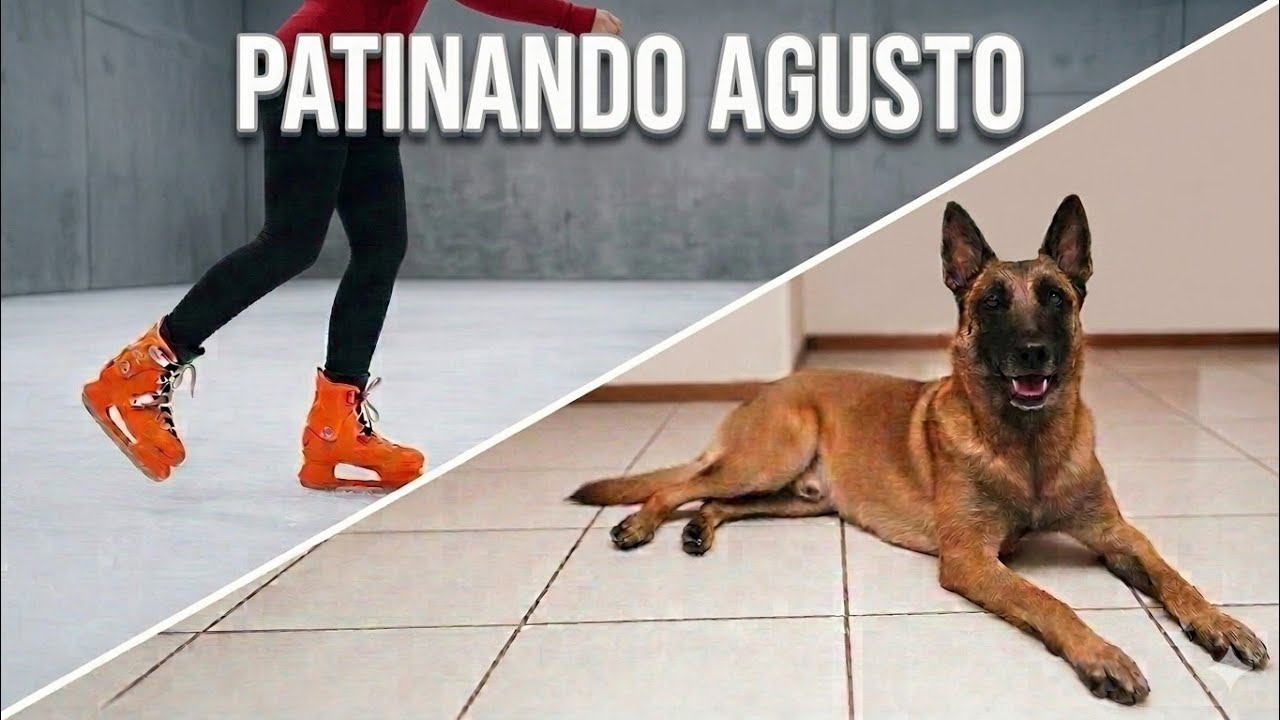 Voy a patinar en hielo