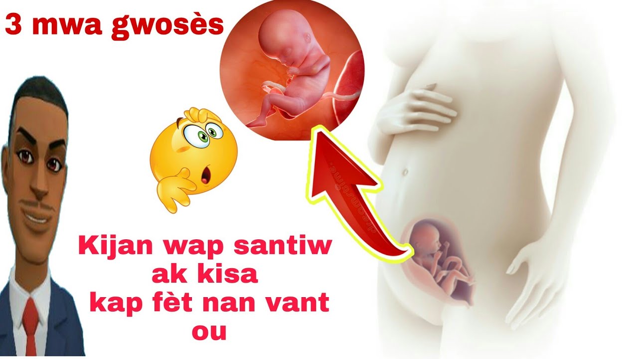 (3 mwa gwosès) kijan wap santiw, sin yo ak kisa kap fèt nan vant ou ...