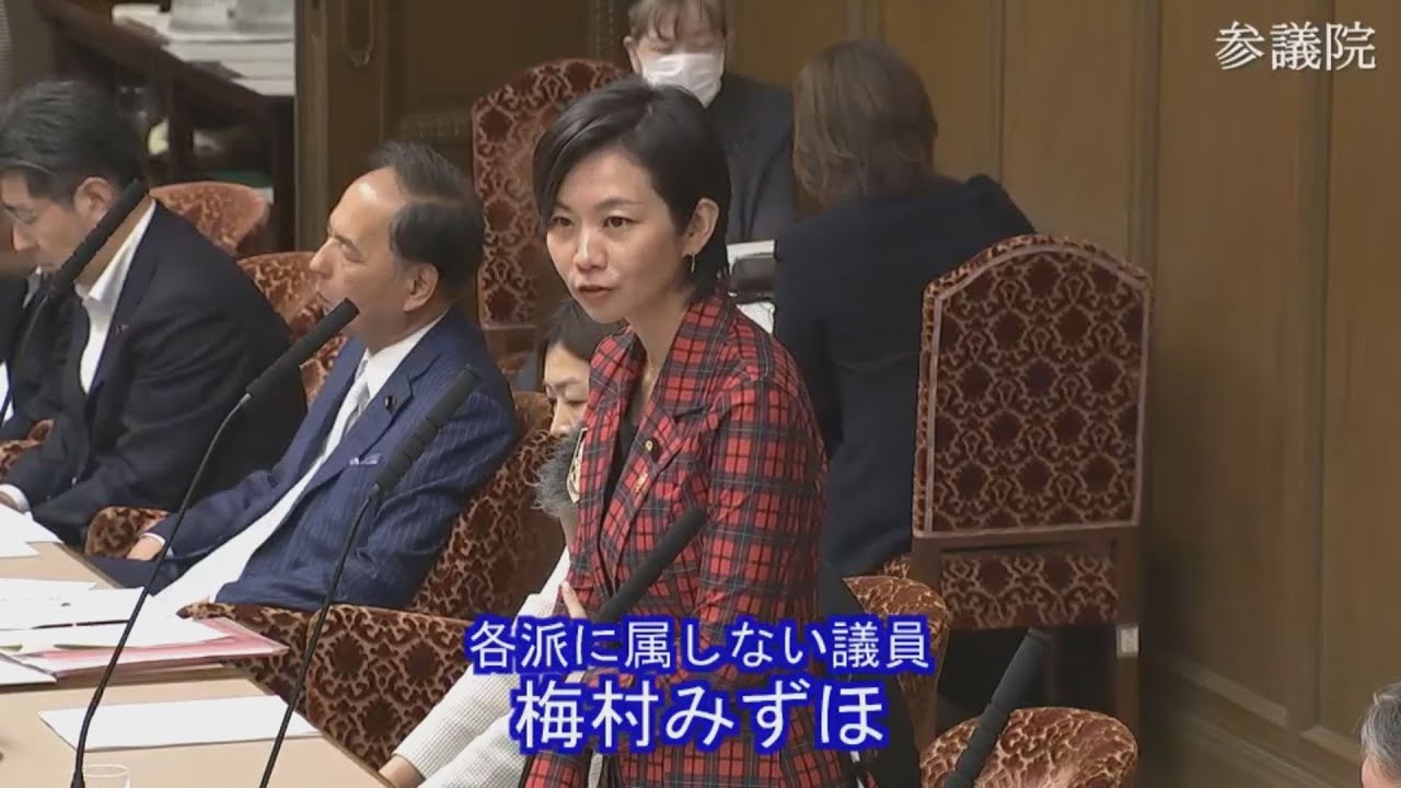 2025.06.10 財政金融委員会・質疑　梅村みずほ