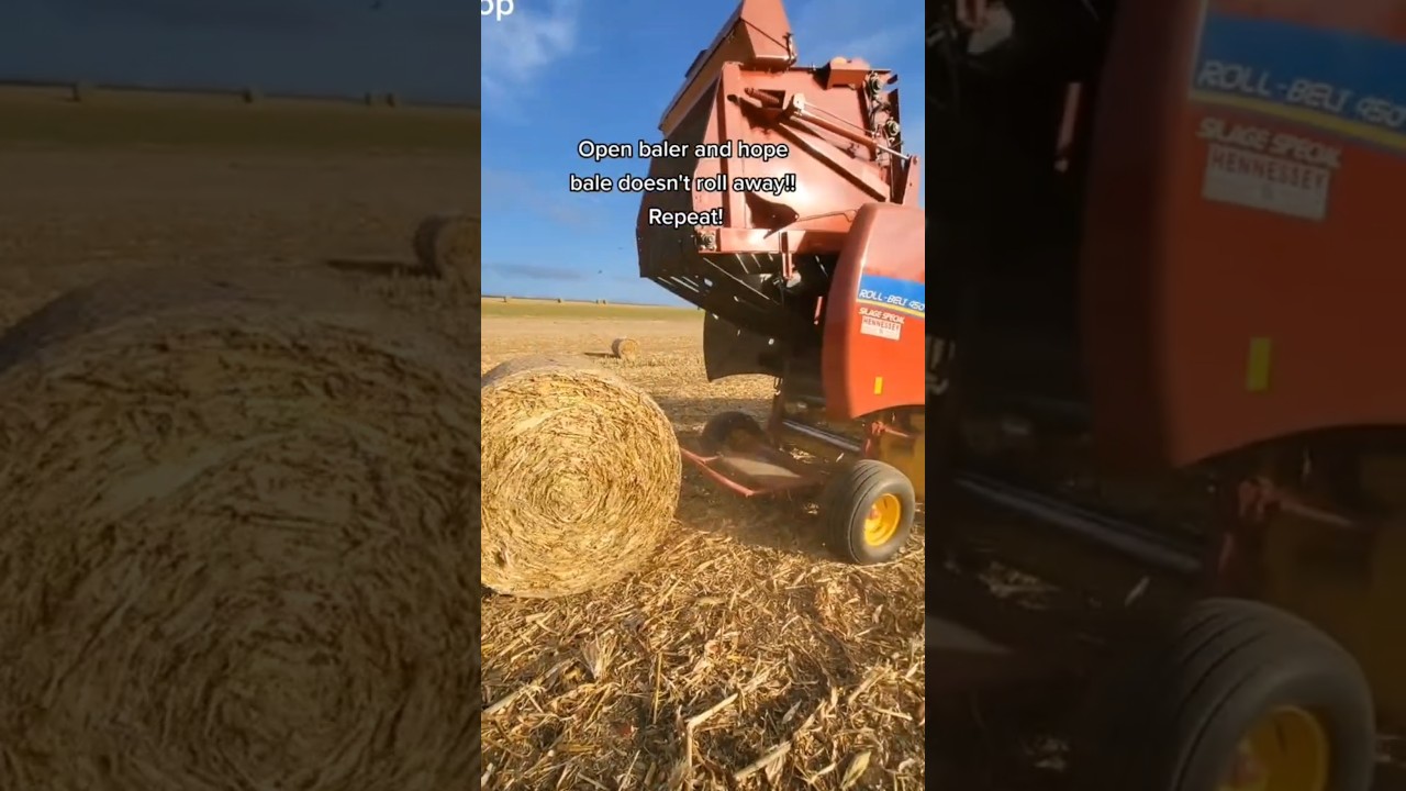 Как сделать круглый тюк! #newholland #сельское хозяйство #фермерство #трактор #жизньнаферме #сель...
