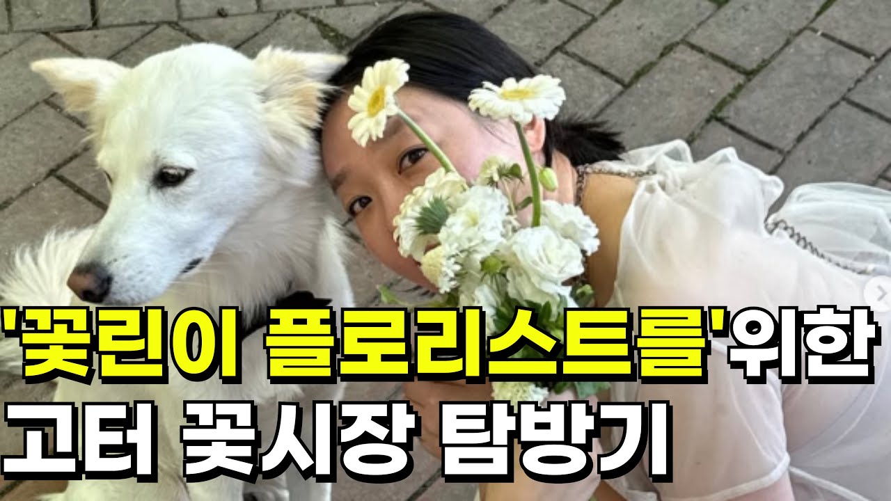고속터미널 꽃시장 투어 #생화시장 꽃린이 플로리스트를 위한 고속터미널 꽃시장 소개영상Seoul Express Bus Terminal Flower Market Introduction
