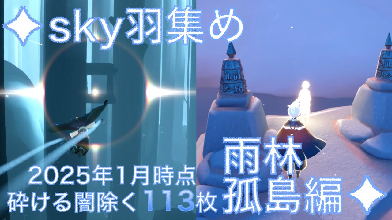 【2025年1月版】113枚光の子・羽集めの旅/雨林・孤島編/初心者向け解説あり【sky 星を紡ぐ子どもたち】