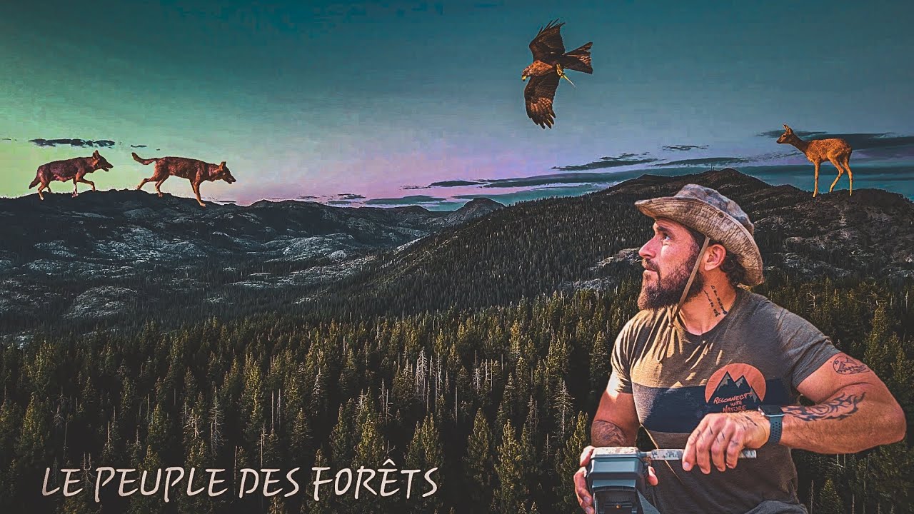 Vous voulez les voir, alors laissez-vous embarquer ! 🔊🎧 👈