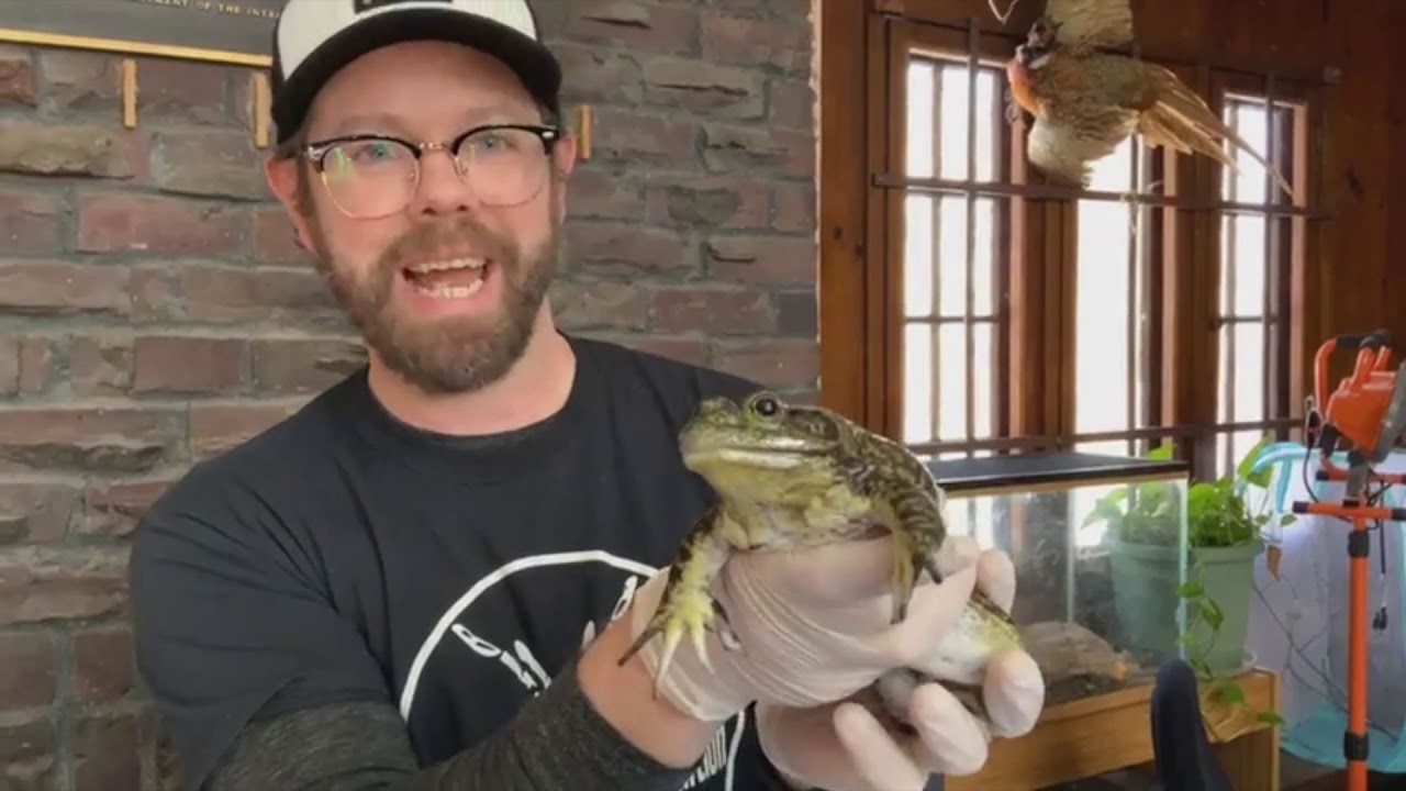 Meet Our Animal Ambassadors / 