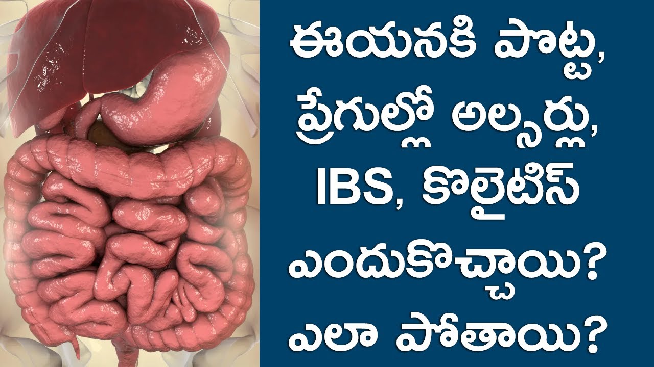 ఈయనకి పొట్ట ప్రేగుల్లో అల్సర్లు IBS కొలైటిస్ ఎందుకొచ్చాయి? ఎలా పోతాయి? Colitis Root Cause | Solution