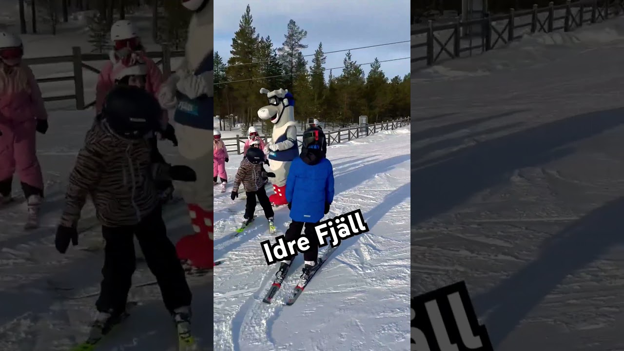Aske in Idre Fj&auml;ll