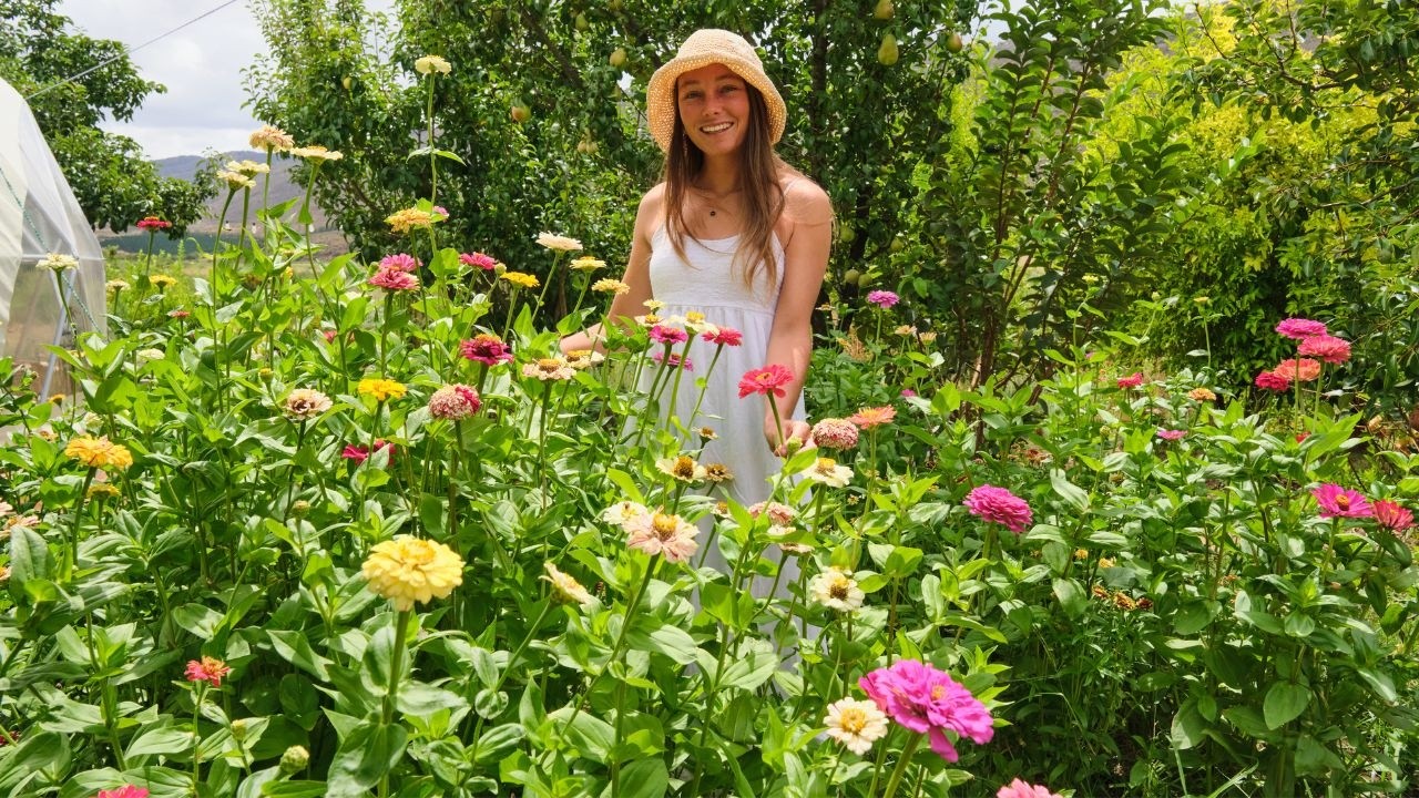 A Dream that Starts with a Seed - 2 Month Zinnia Flower Farm Journey