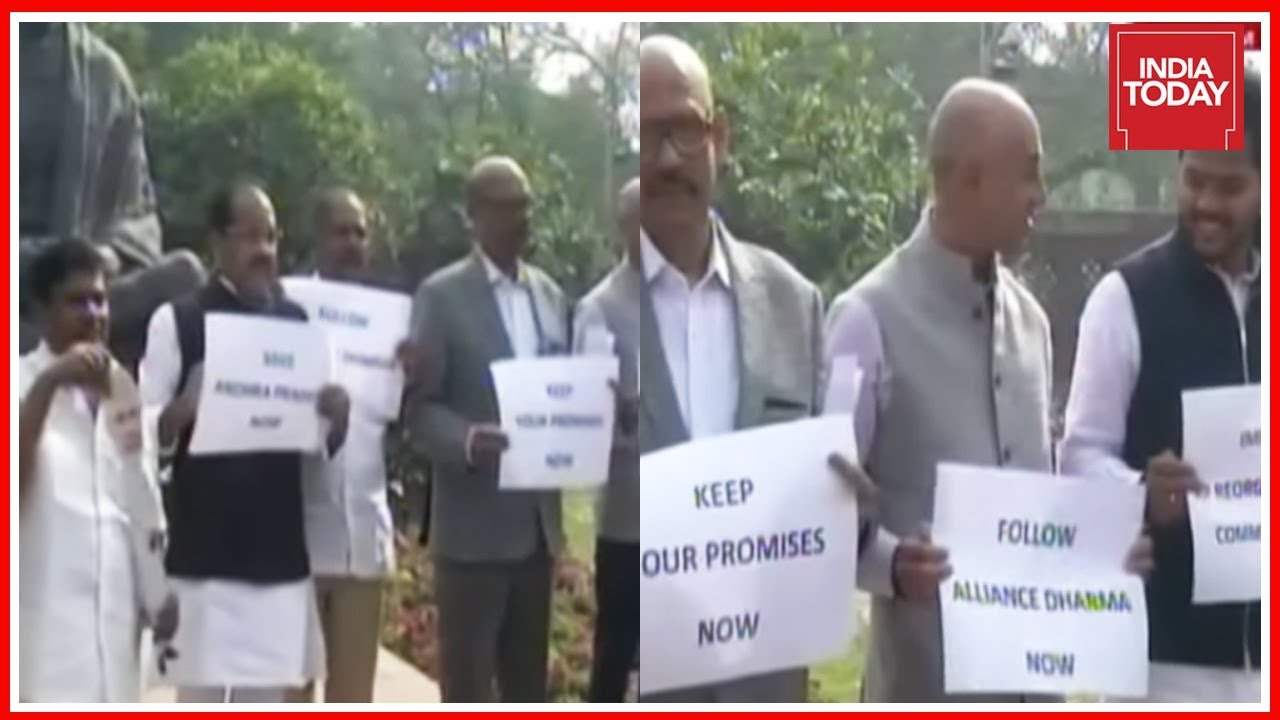 TDP Continues Anti-Budget Protest Outside Parliament For 2nd Day