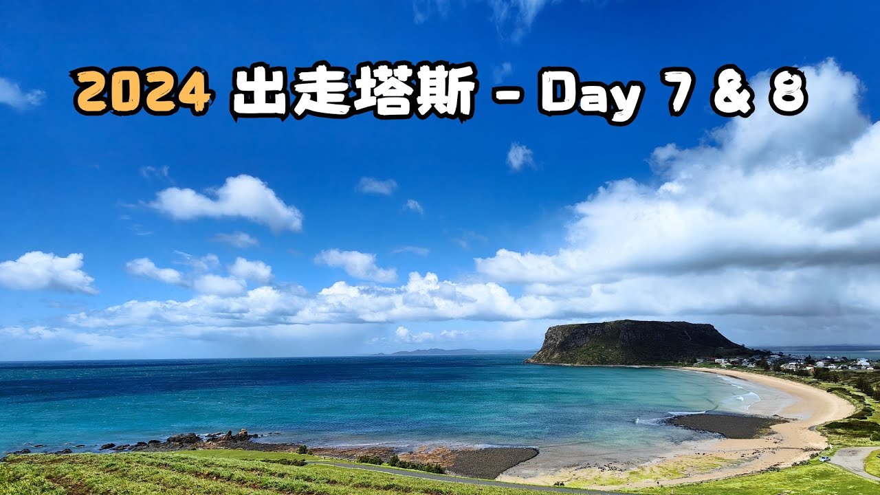 [2024 出走塔斯 - Day 7 & 8] Penguin | Table Cape Tulip Farm | Stanley | The Nut #塔斯自駕游 #tasmania