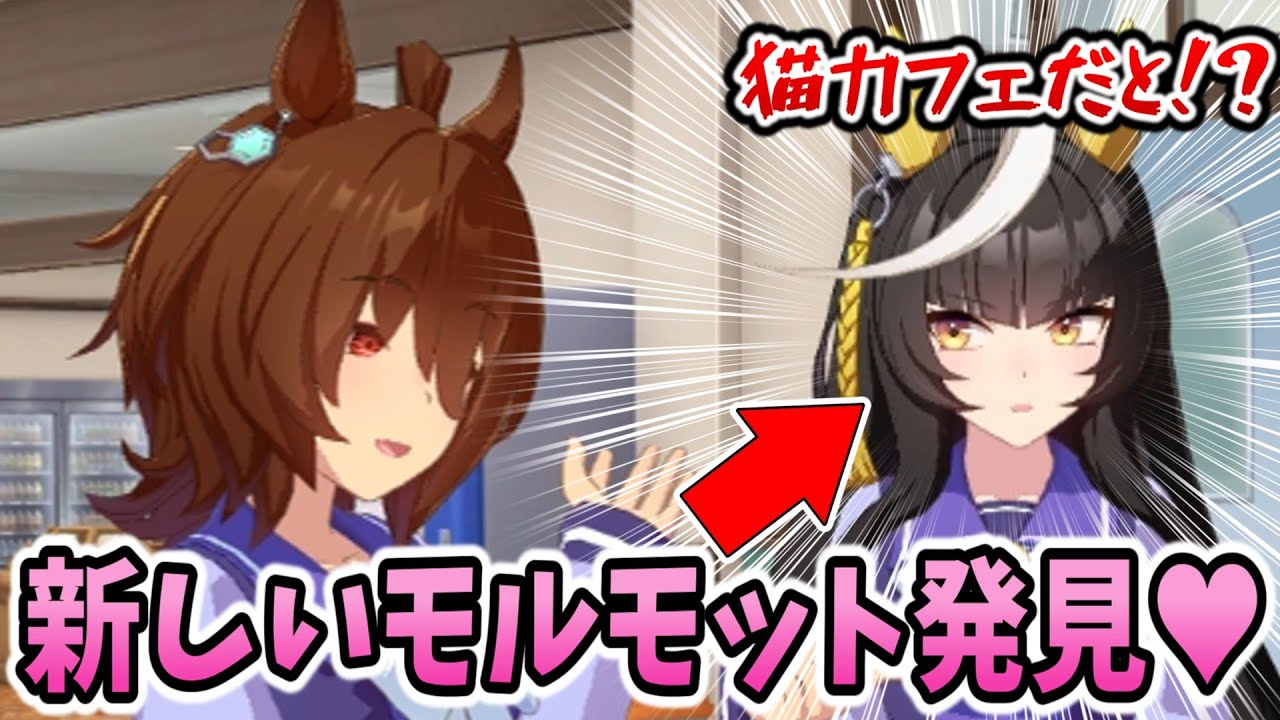 【ウマ娘】猫カフェの年パスで釣られるカルストンライトオ