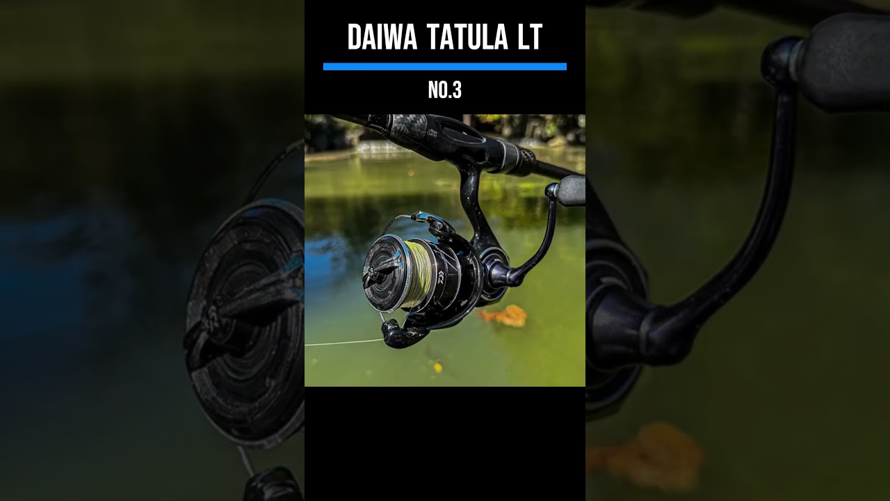 Top 5 BEST Spinning Reels In 2025!