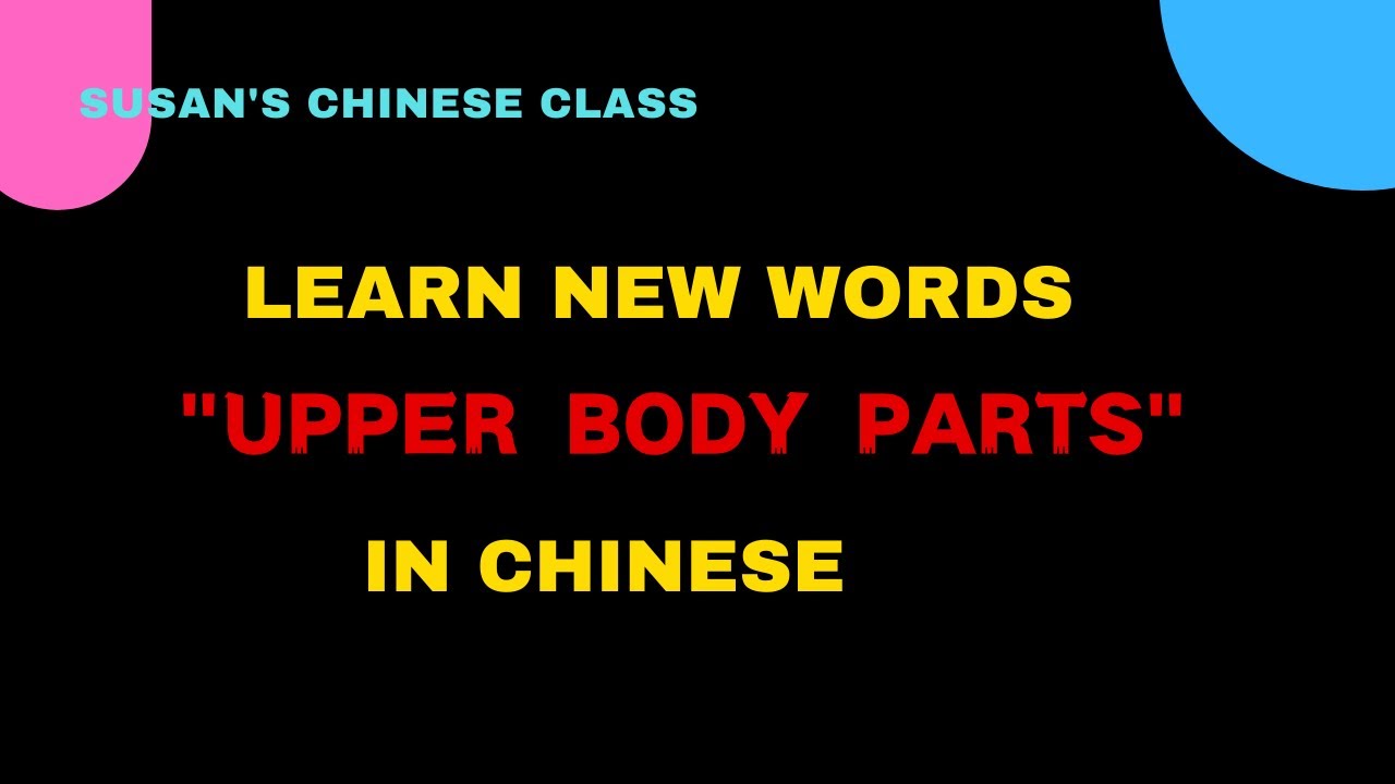 Learn the new words for 'upper body parts